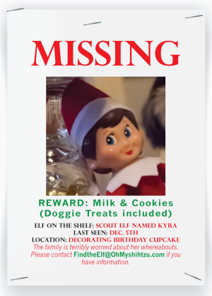 Missing Elf on the Shelf - Oh My Shih Tzu