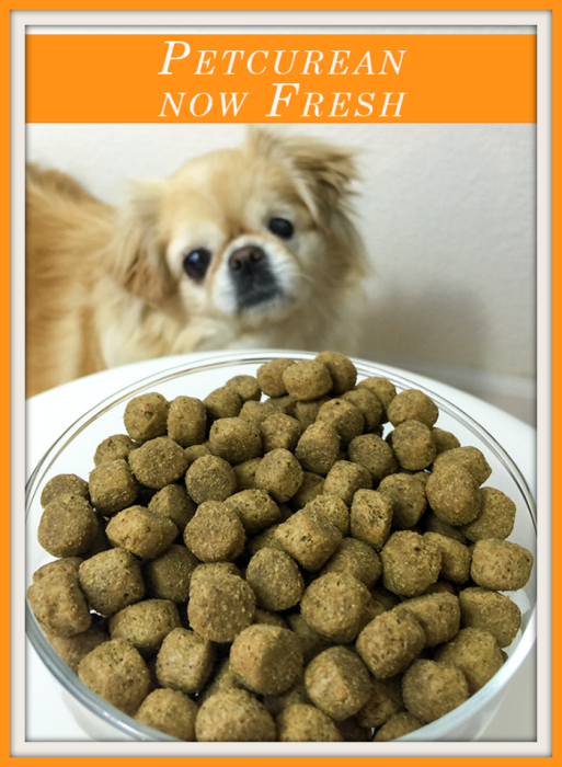 3 Key Benefits of Feeding Petcurean Now Fresh